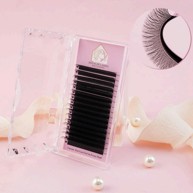 Lash Trays