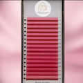 Prevalence Pink - Cashmere Lash Trays
